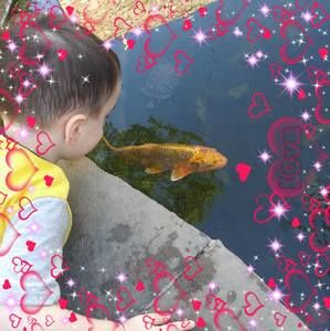 Meet your Posher, Lilly